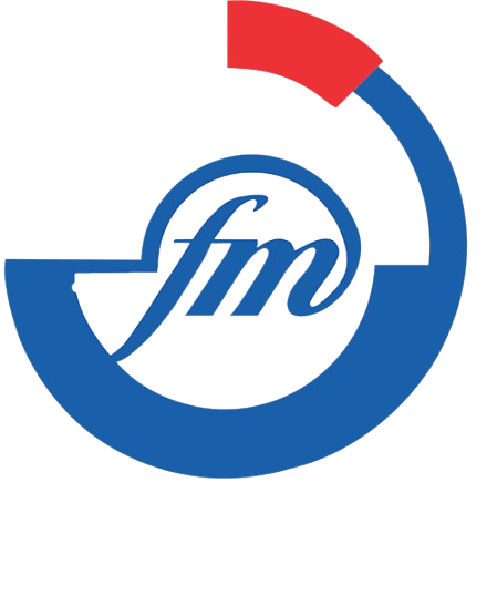 Femish IT Solution